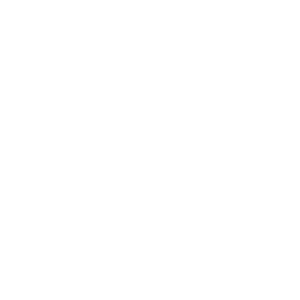 Homepage feature icon 2.png