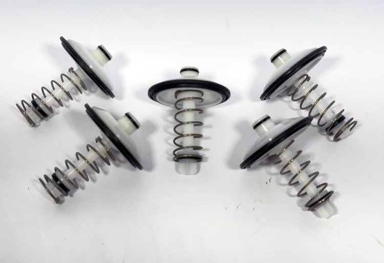 1half2 to1inch rp500 501reliefvalveassembly w spring 5 pack web